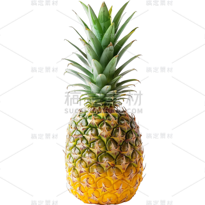 insMind Elements Accessories Fruits