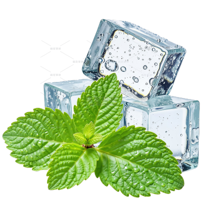 特效系列清爽感透明冰块薄荷叶贴纸（td）
