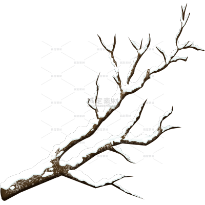 冬天通用简约落雪树枝元素