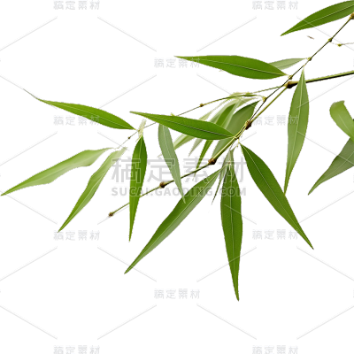 绿色树叶静态贴纸