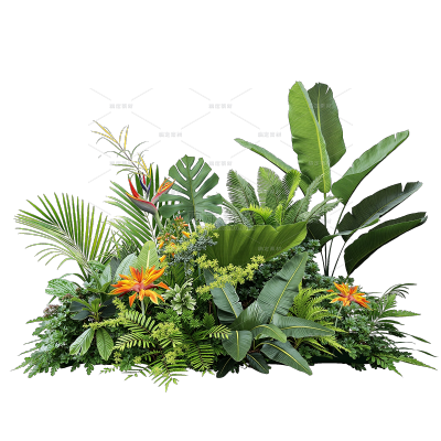 植物系列写实风植物草丛元素