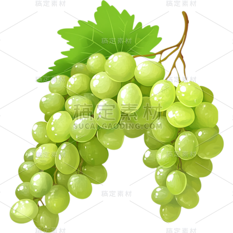 果蔬系列插画单串葡萄贴纸