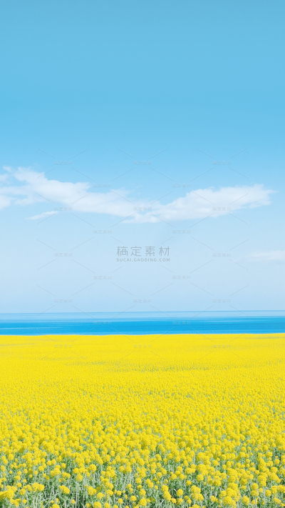 植物系列自然光影感花海背景
