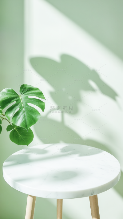 背景系列简约风墙面绿植光影背景