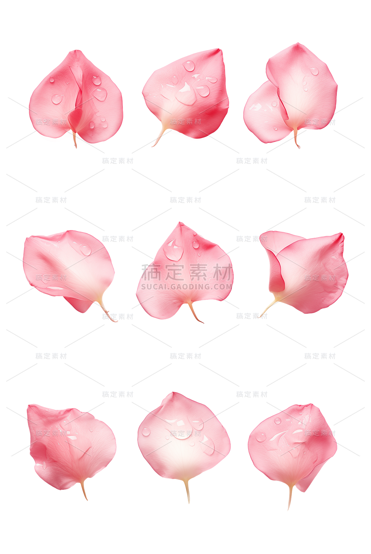 植物通用单片粉色实景花瓣元素素材组合合集