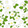 茉莉花图标