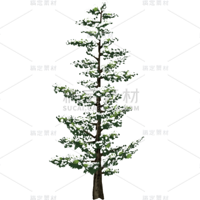 传统节气小雪大雪冬天冬日中国风插画积雪植物