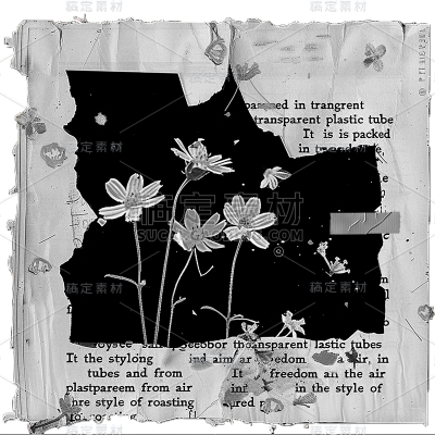 通用复古感报纸拼接黑色白色鲜花花瓣雏菊英文贴纸