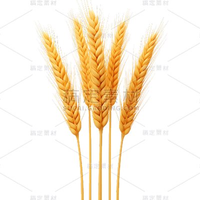 植物3D材质黄色麦穗元素素材