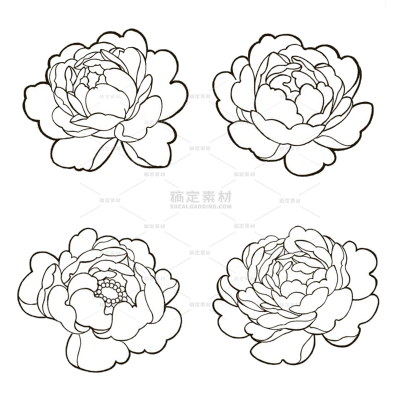 插画系列简约风白色牡丹花朵线稿元素（td）