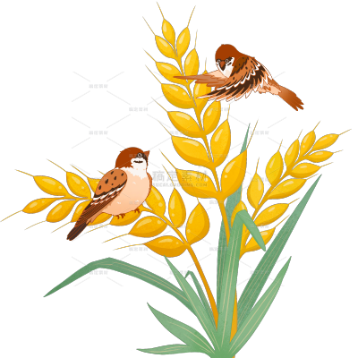 芒种清新感小麦麻雀插画元素