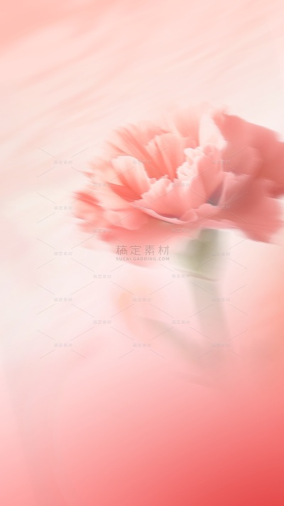 母亲节梦幻感弥散渐变康乃馨背景