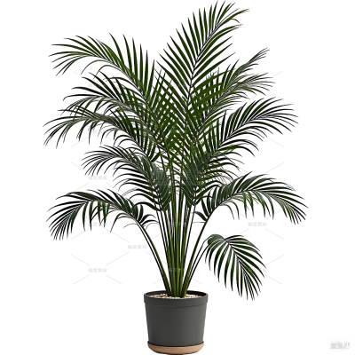 植物系列写实绿色植物盆栽元素