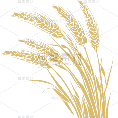 植物通用金色矢量麦穗元素素材