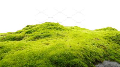 风光系列写实感草坪草地草坡（td）