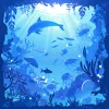 海豚插画