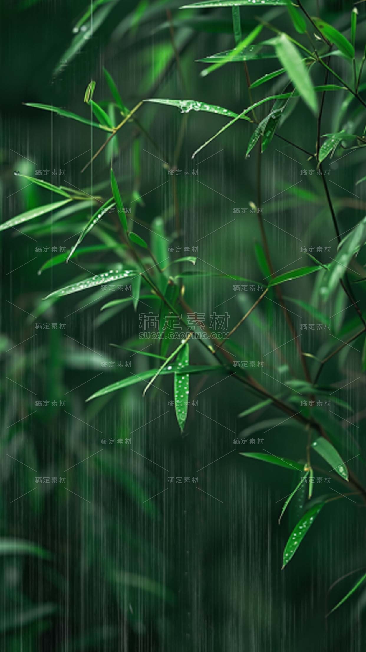清明节清明实景雨天柳树背景场景图片素材