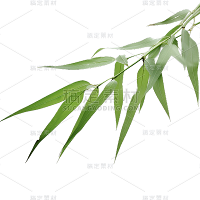 绿色树叶静态贴纸