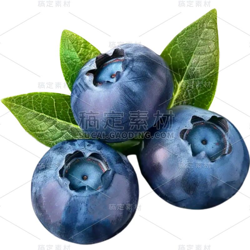果蔬通用写实蓝莓植物贴纸素材