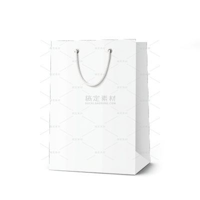 样机系列礼盒手提袋（td）