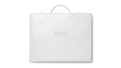 样机系列简约空白手提袋（td）