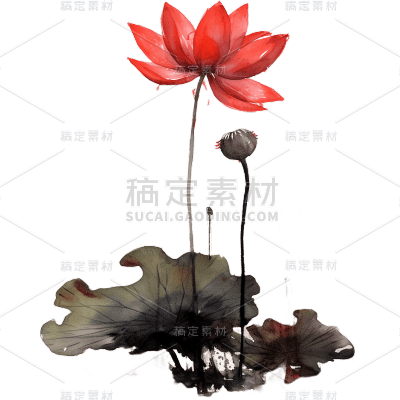 中国风水墨荷花