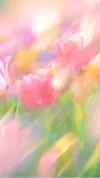 花海图片