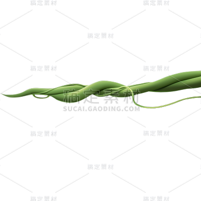 通用植物绿色树藤树根元素素材