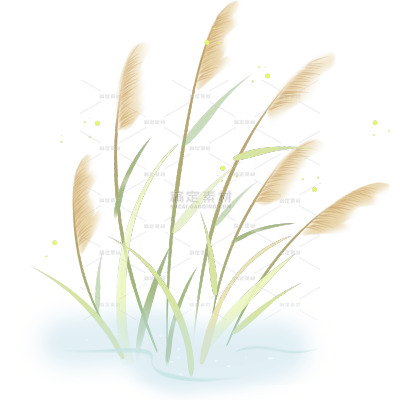风光系列插画风水彩芦苇草丛贴纸