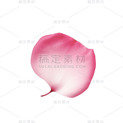 粉色花瓣