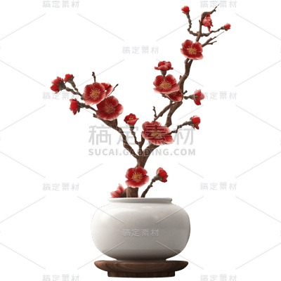 中国风禅意梅花盆栽