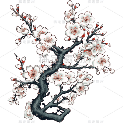 中国风水墨国画梅花