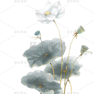 中国风通用金边工笔画荷花植物元素素材