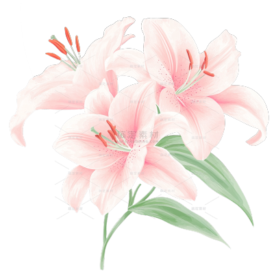 植物系列厚涂风水彩百合花元素