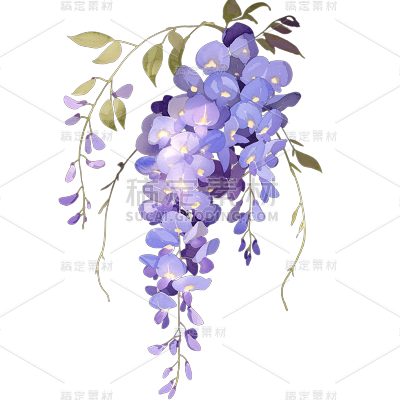 植物通用清新插画花朵元素素材
