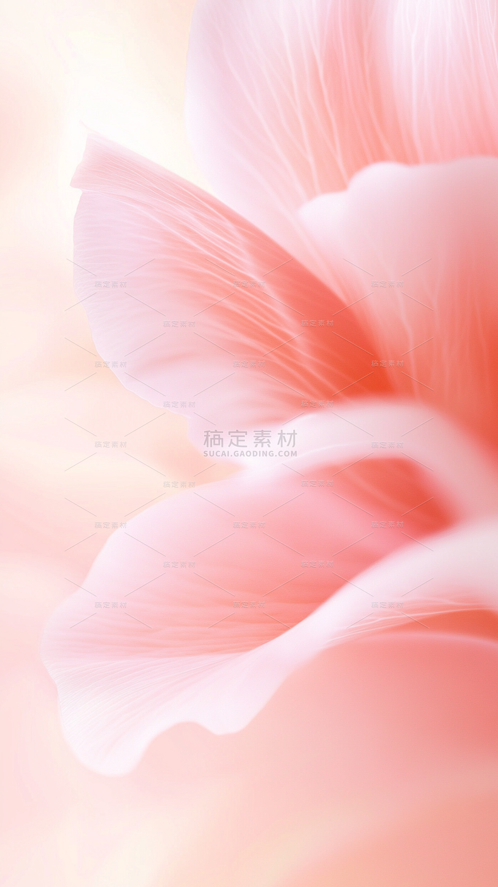 植物系列唯美感光感鲜花花瓣背景