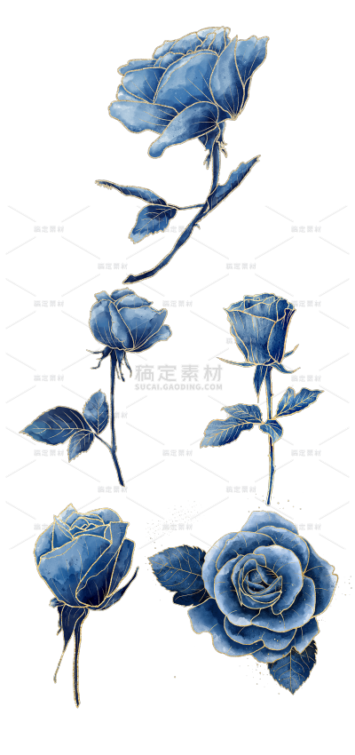 2309SC-素材组合-蓝色玫瑰花卉描边水彩元素