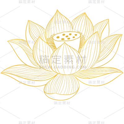 植物通用金色单朵线条荷花元素素材