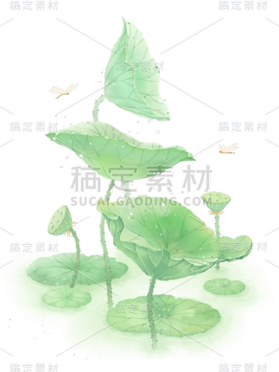 水彩夏天荷花荷叶绿叶