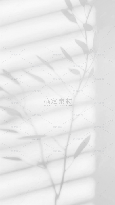 背景通用光影特效植物黑白背景图片素材