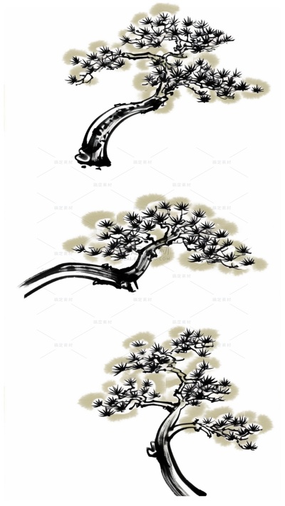 植物系列中国风黑白水墨画写意松树插画（td）
