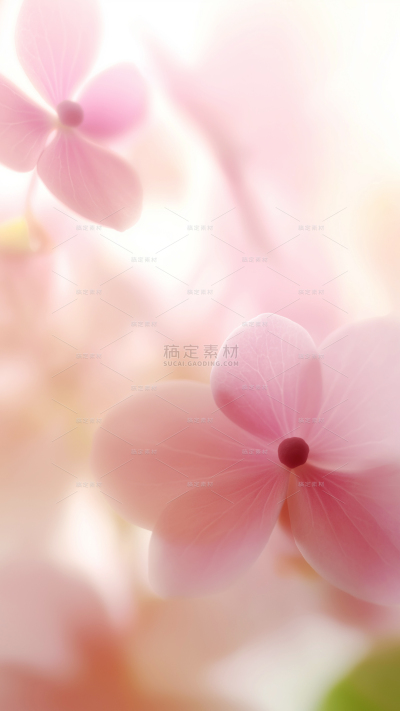 常规背景系列朦胧感特写粉色花朵背景
