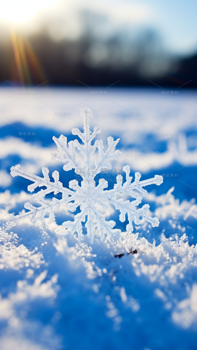 冬天冬季冬日雪景雪花特写