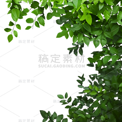 植树节实景绿植植物边框元素素材