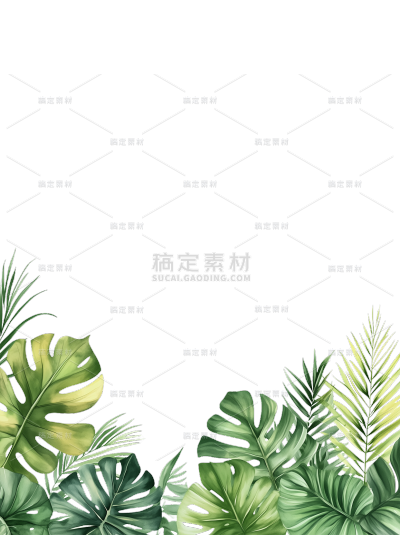 植物系列插画风大片热带叶子边框元素
