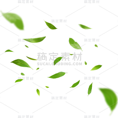植物通用实景绿色动态落叶元素素材