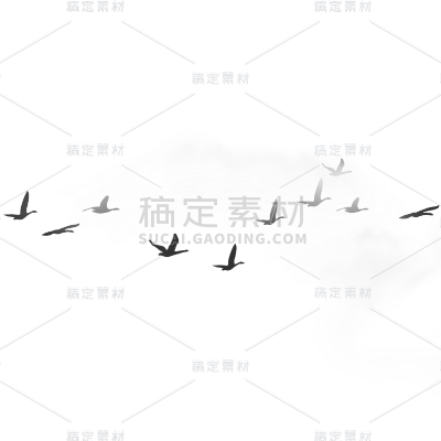动物系列-插画飞鸟剪影+太阳/云朵黑白系