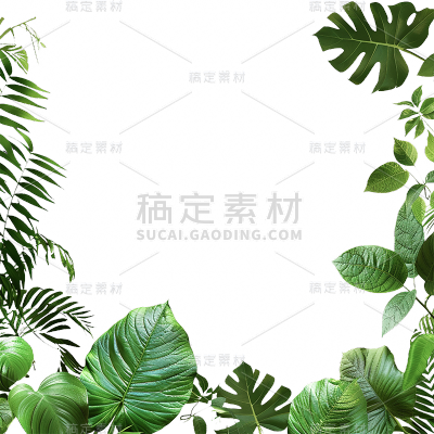 植物通用绿色实景树叶边框元素素材