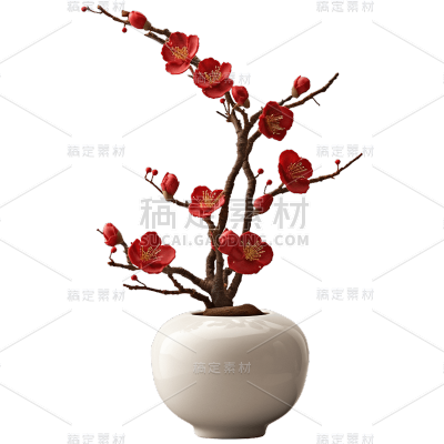 中国风禅意梅花盆栽