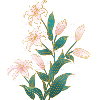 植物系列国潮风金线描边百合花花枝元素